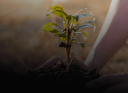 bg-image-environmental-impact