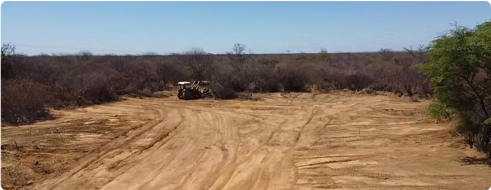 Land Clearing progress image 3